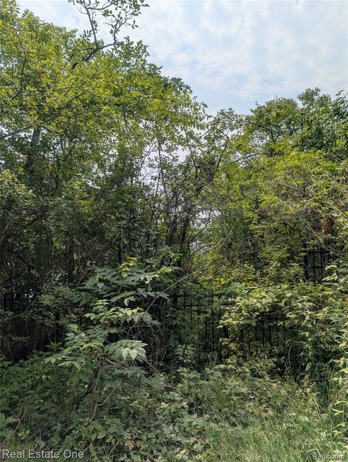 Bloomfield, MI 48304,0000 Ward Road Ward Road RD