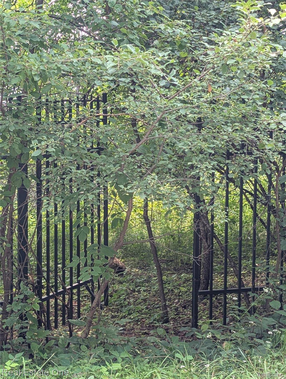 Bloomfield, MI 48304,0000 Ward Road Ward Road RD