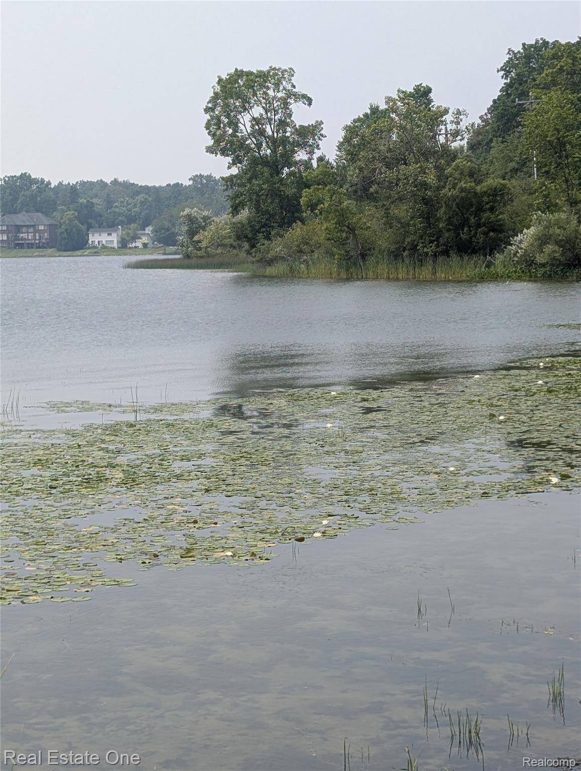 Bloomfield, MI 48304,0000 Ward Road Ward Road RD