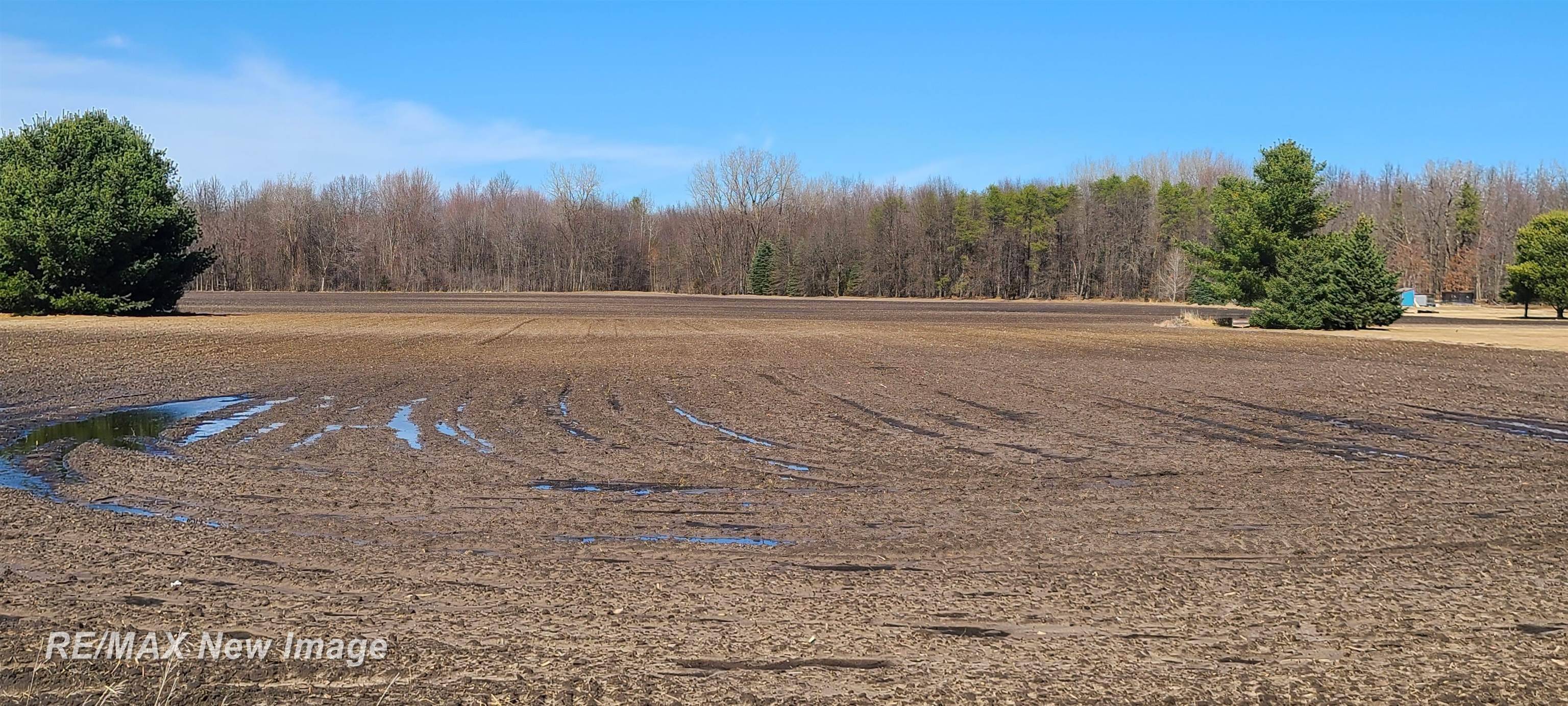 14000 W Burt RD, Brant Twp, MI 48616