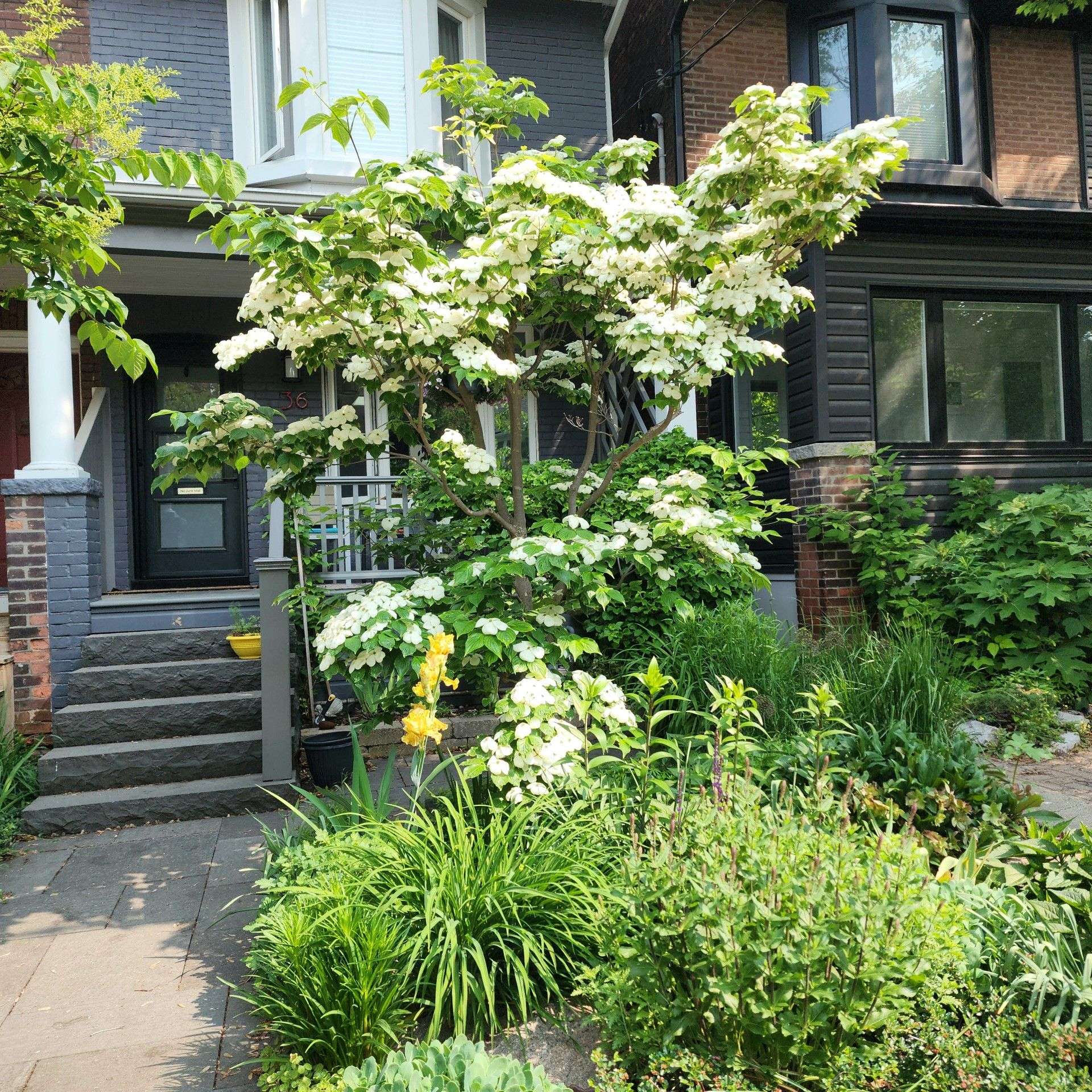 Toronto E01, ON M4J 1K5,36 Hazelwood AVE