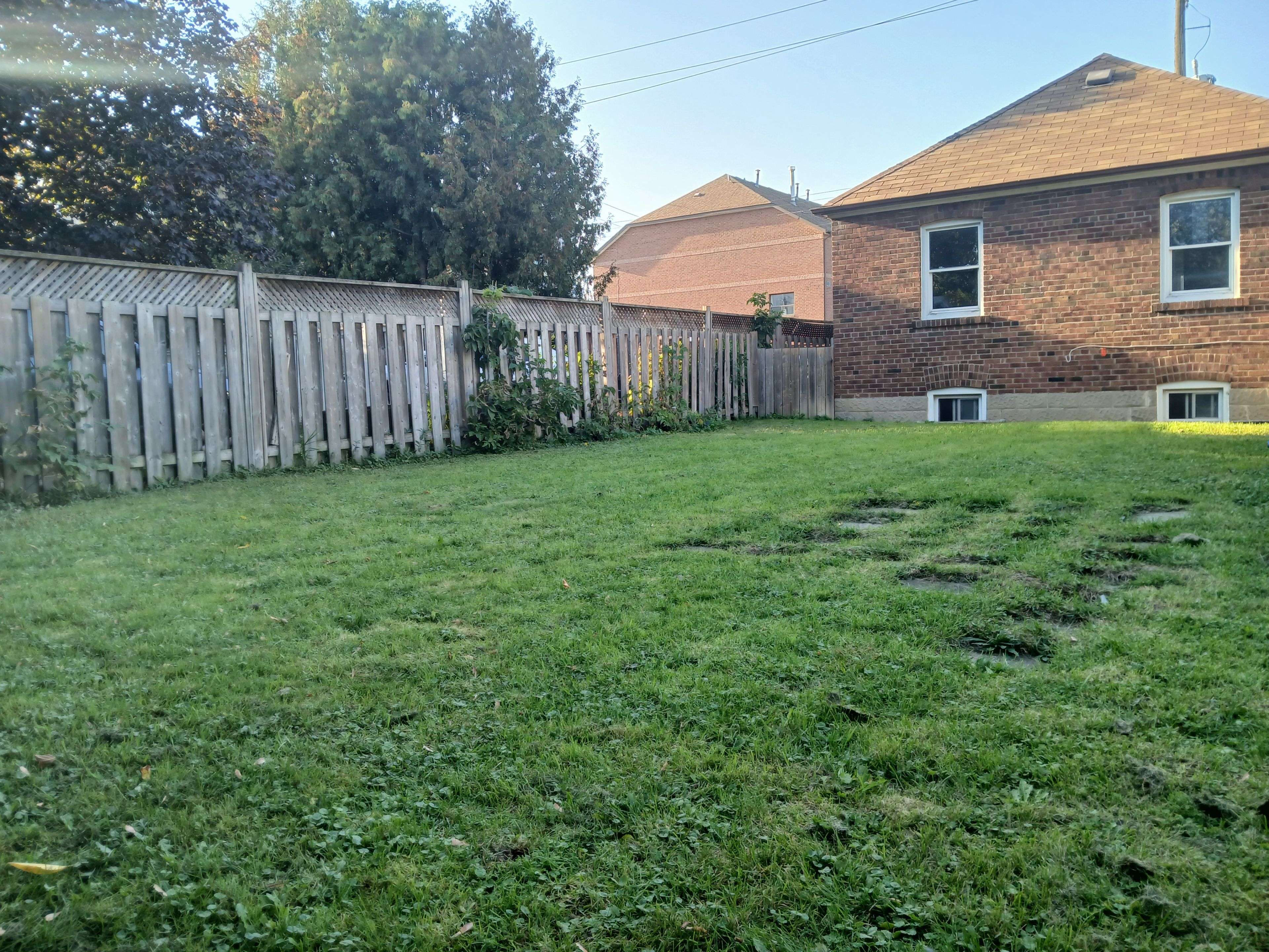 Toronto E03, ON M4C 2W4,861 Cosburn AVE #Lower Unit B