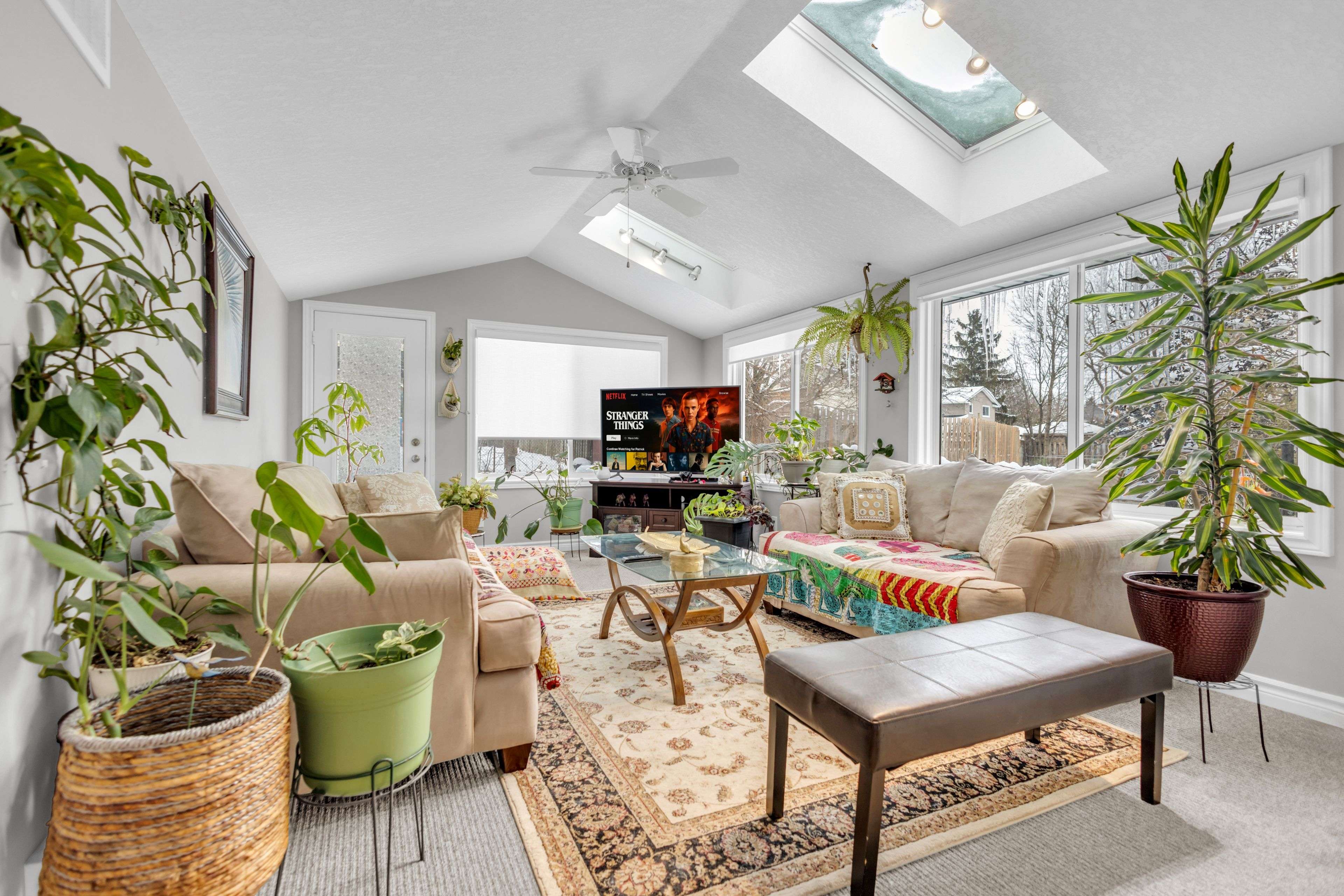 Kitchener, ON N2A 2T6,62 Lewis CRES #Basement