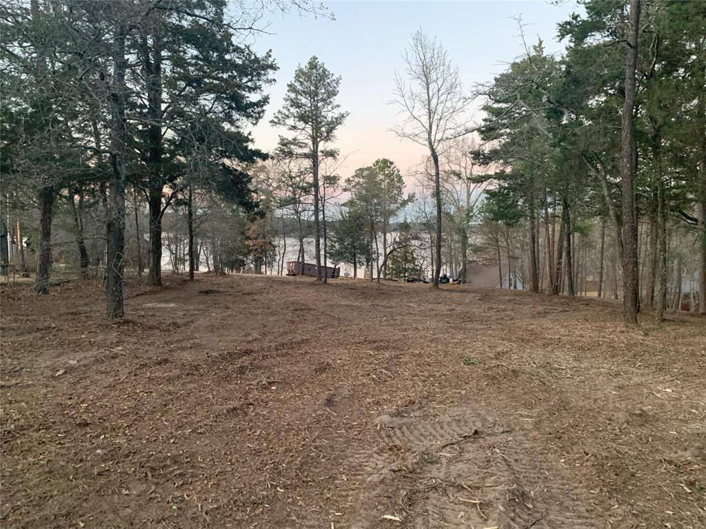 Scroggins, TX 75480,TBD Pedernales Street