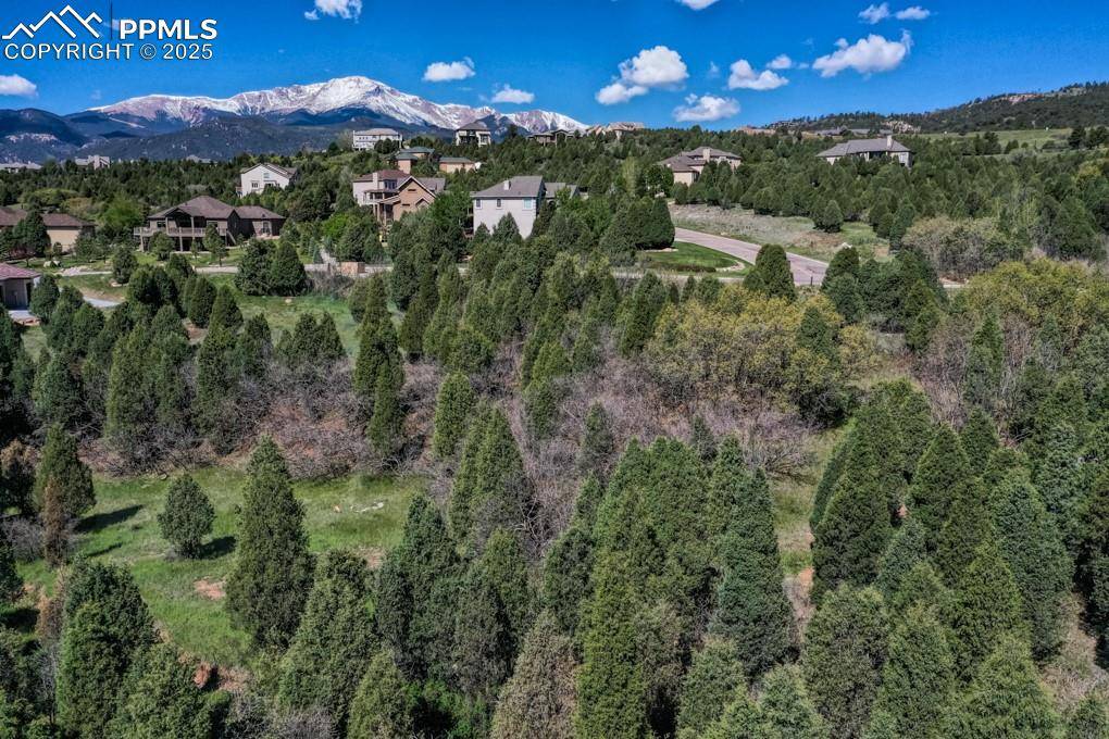 Colorado Springs, CO 80904,3455 Black Canyon RD