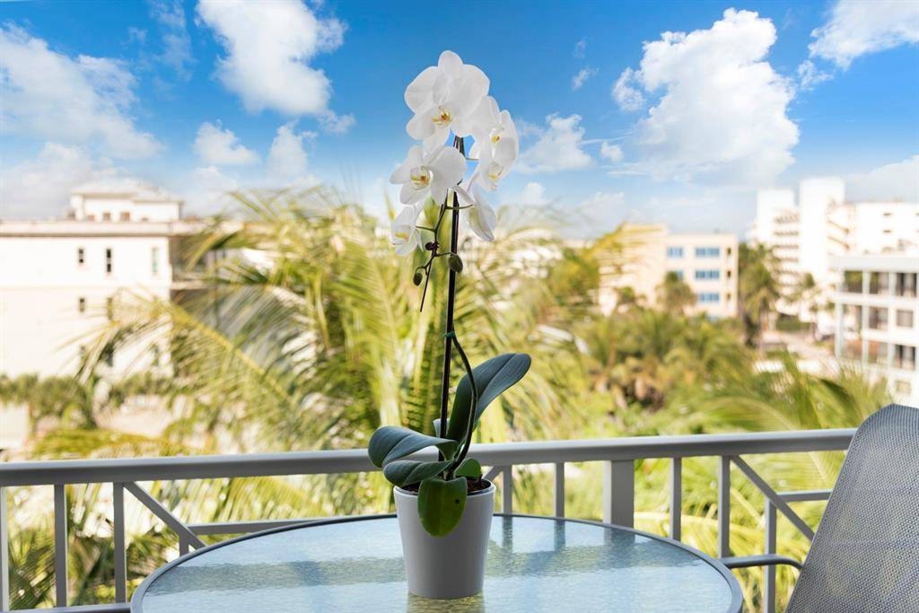 Deerfield Beach, FL 33441,701 SE 21ST AVE #502