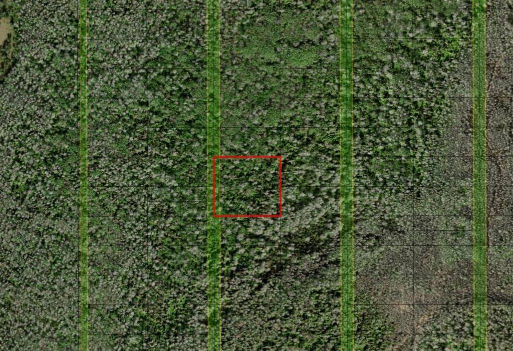 St. Cloud, FL 34772,0 HOLOPAW GROVES RD