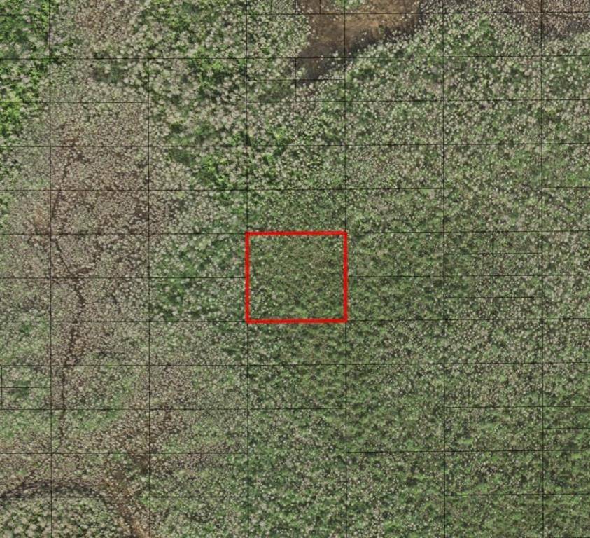 St. Cloud, FL 34772,0 HOLOPAW GROVES RD