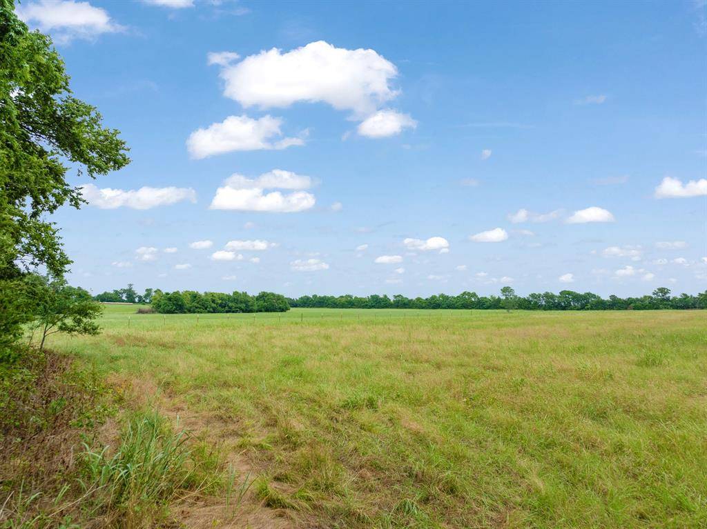 Paris, TX 75462,0000 Lot 1 Farm Road 1497