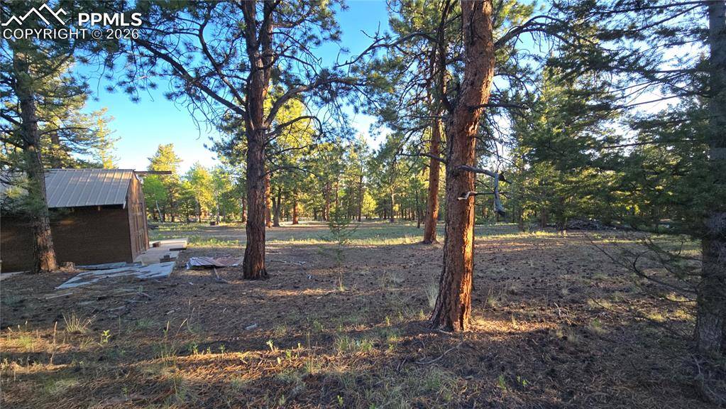 Buena Vista, CO 81211,Chubb CT