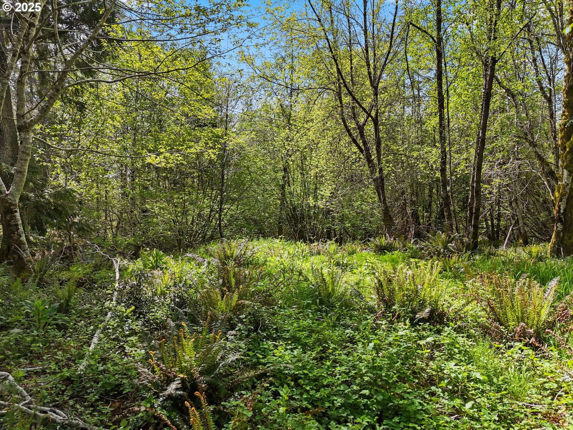 Raymond, WA 98577,1420 Raymond-South Bend RD