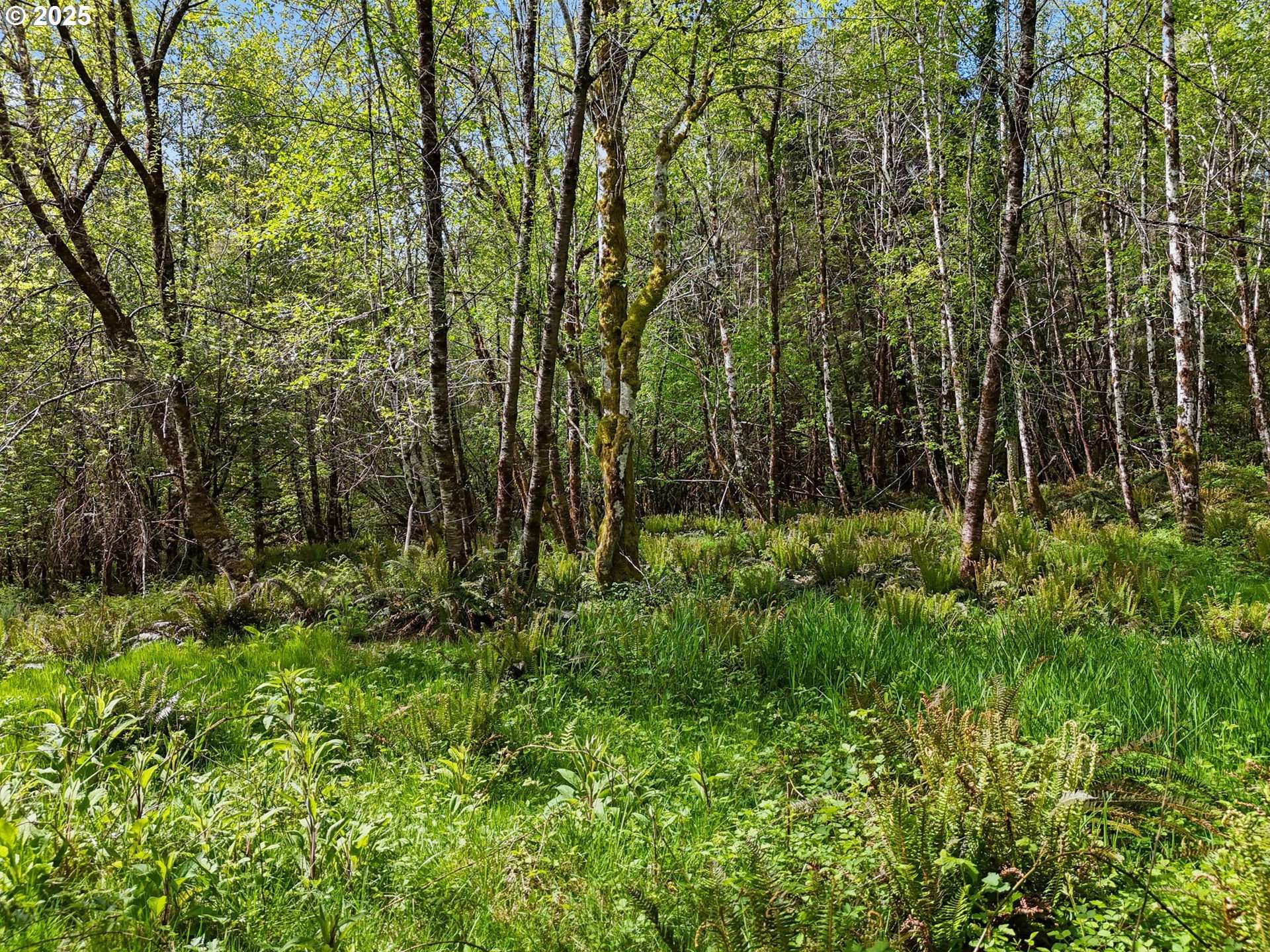 Raymond, WA 98577,1420 Raymond-South Bend RD