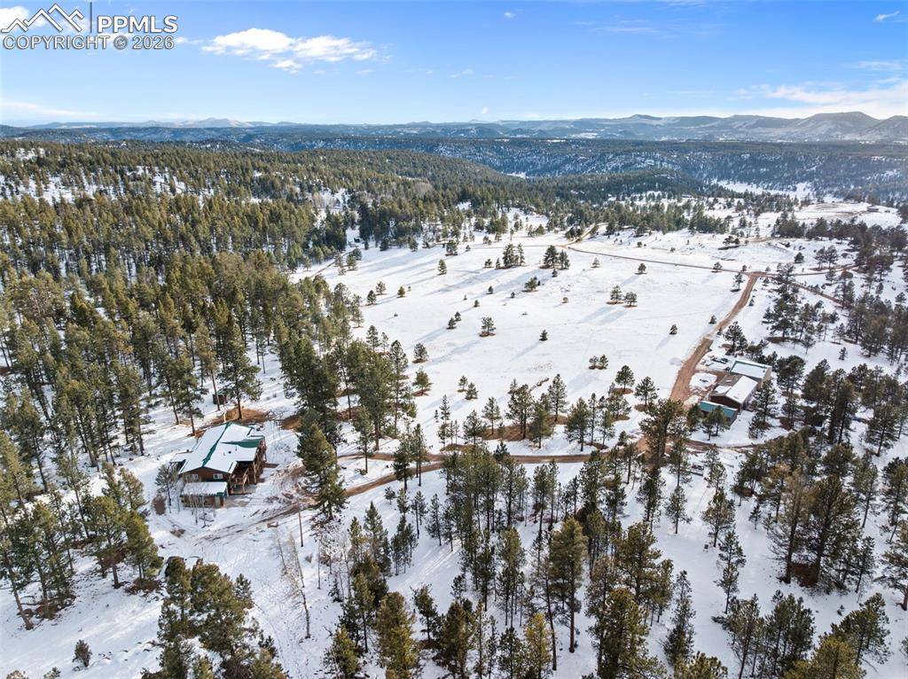 Florissant, CO 80816,803 Timber Mesa RD