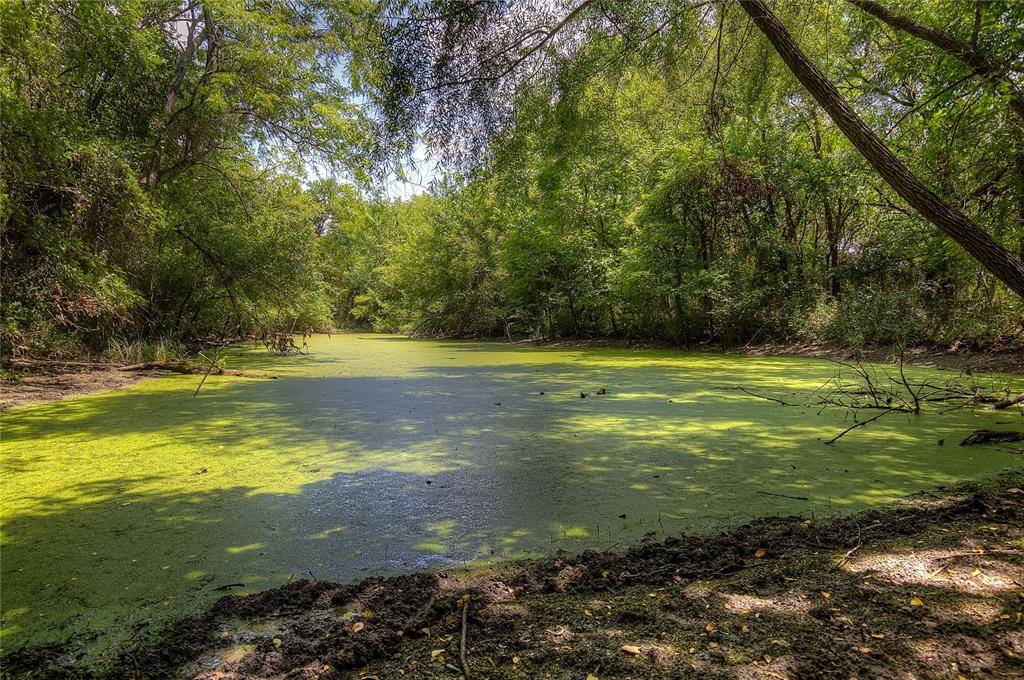 Commerce, TX 75428,8088 Fm 118