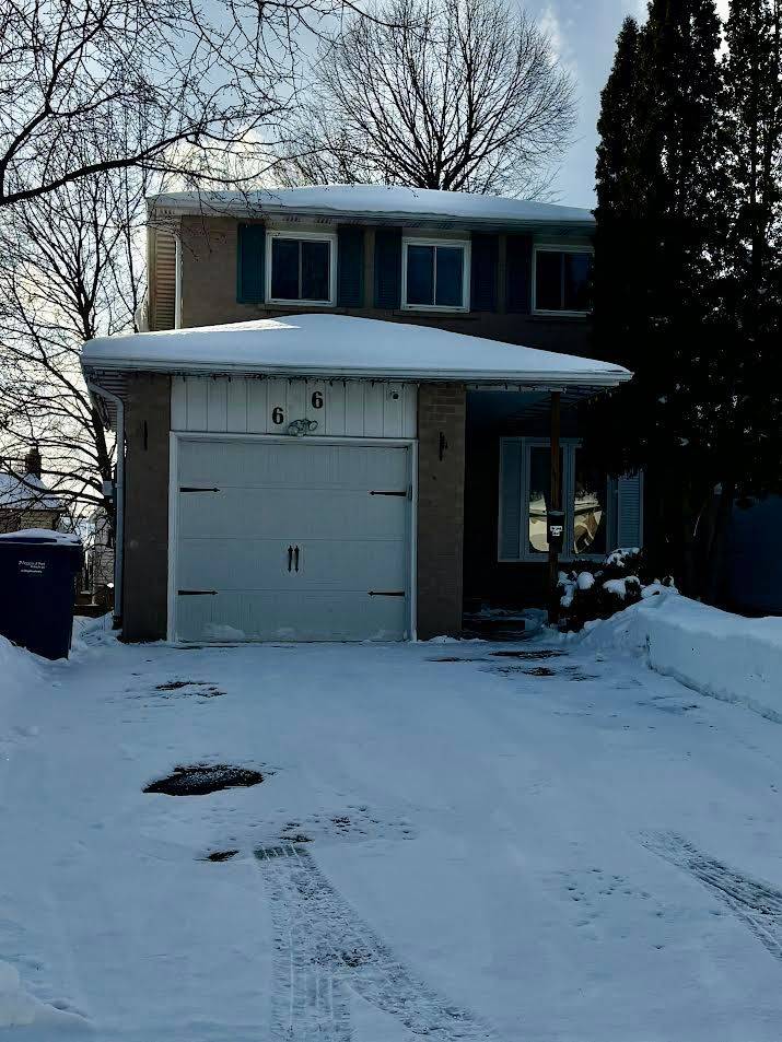 Brampton, ON L6Z 1N4,66 Berkshire SQ