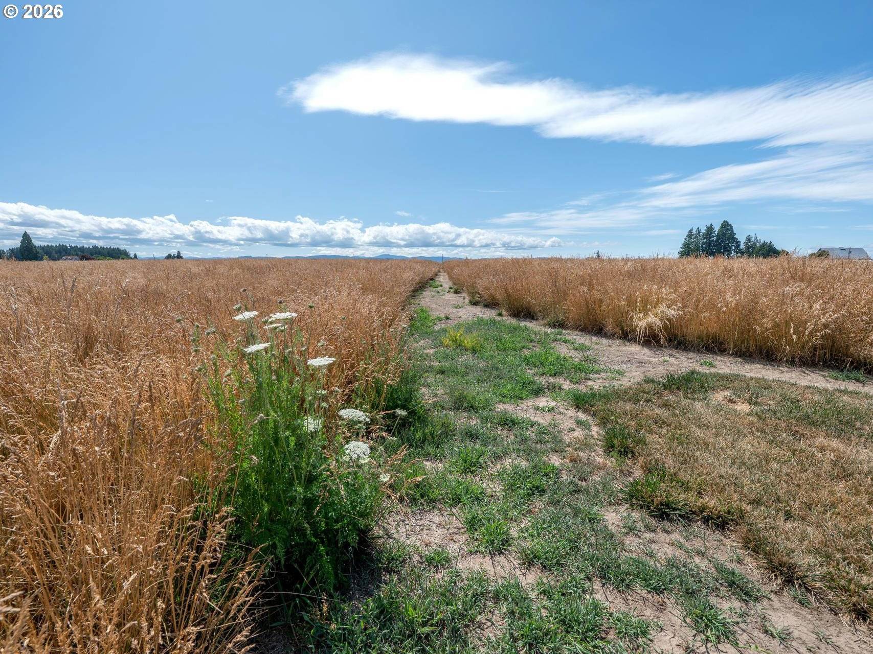 NW SCOTCH CHURCH RD, Hillsboro, OR 97124