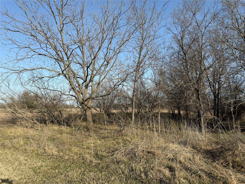 Kopperl, TX 76652,1540 County Road 2960