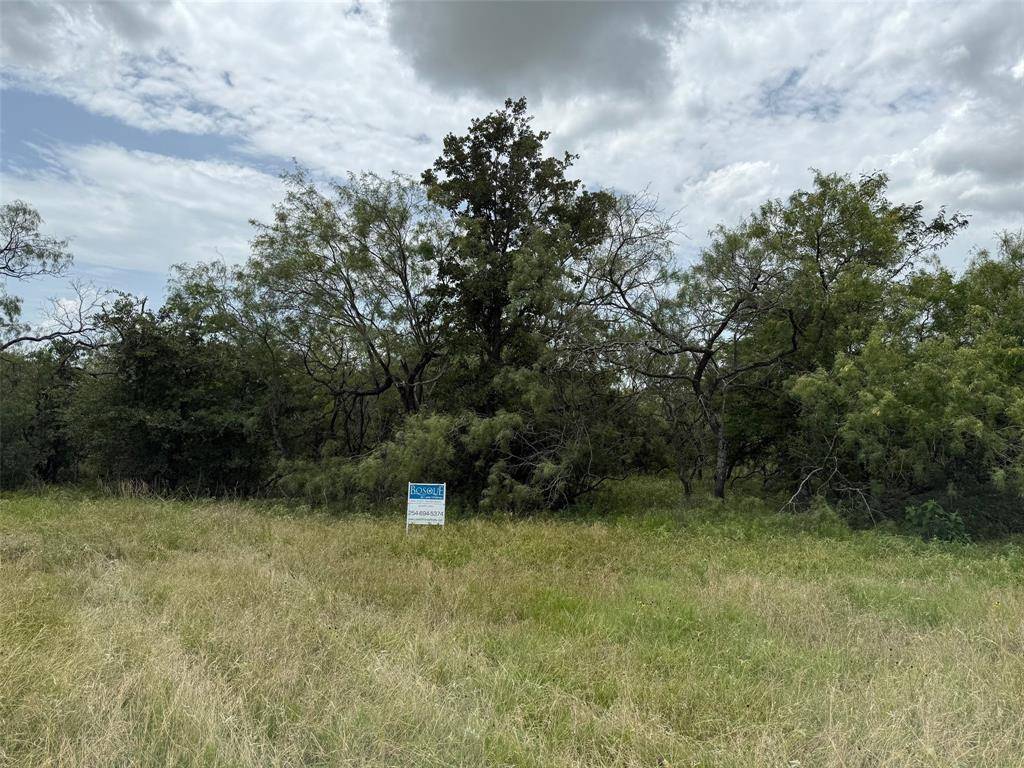Whitney, TX 76692,2 Private Road 248