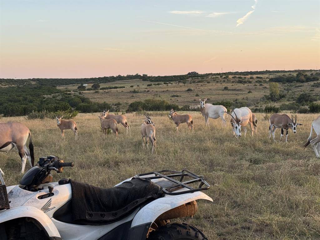 Lampasas, TX 76550,Tract 1 County Road 208