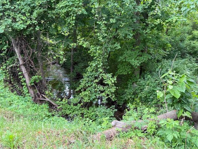 Bailey, MI 49303,15255 Bailey RD