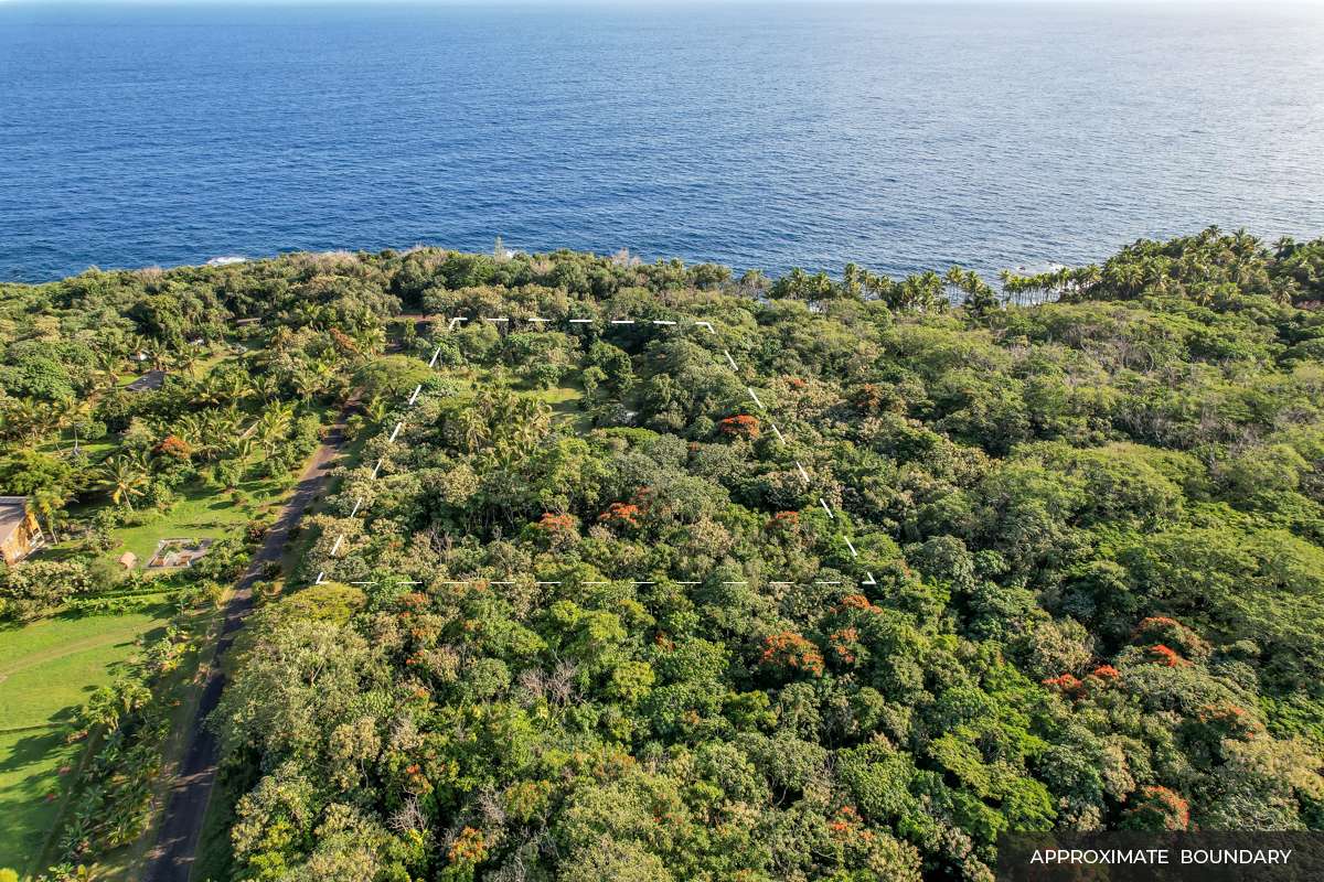 13-103 NALU PL, Pahoa, HI 96778