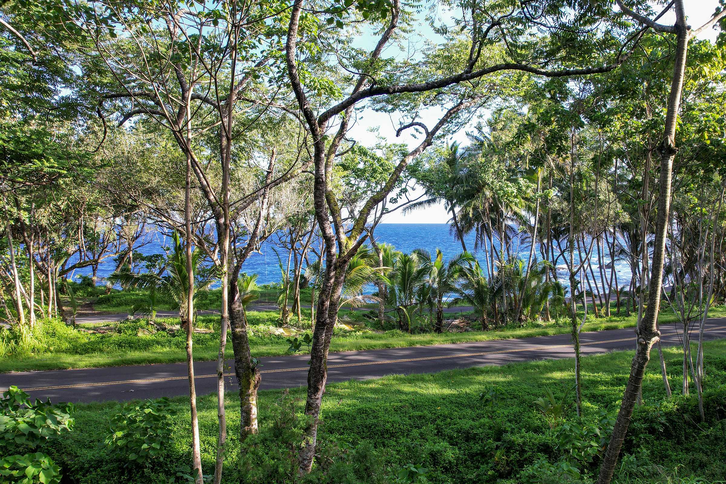 13-103 NALU PL, Pahoa, HI 96778