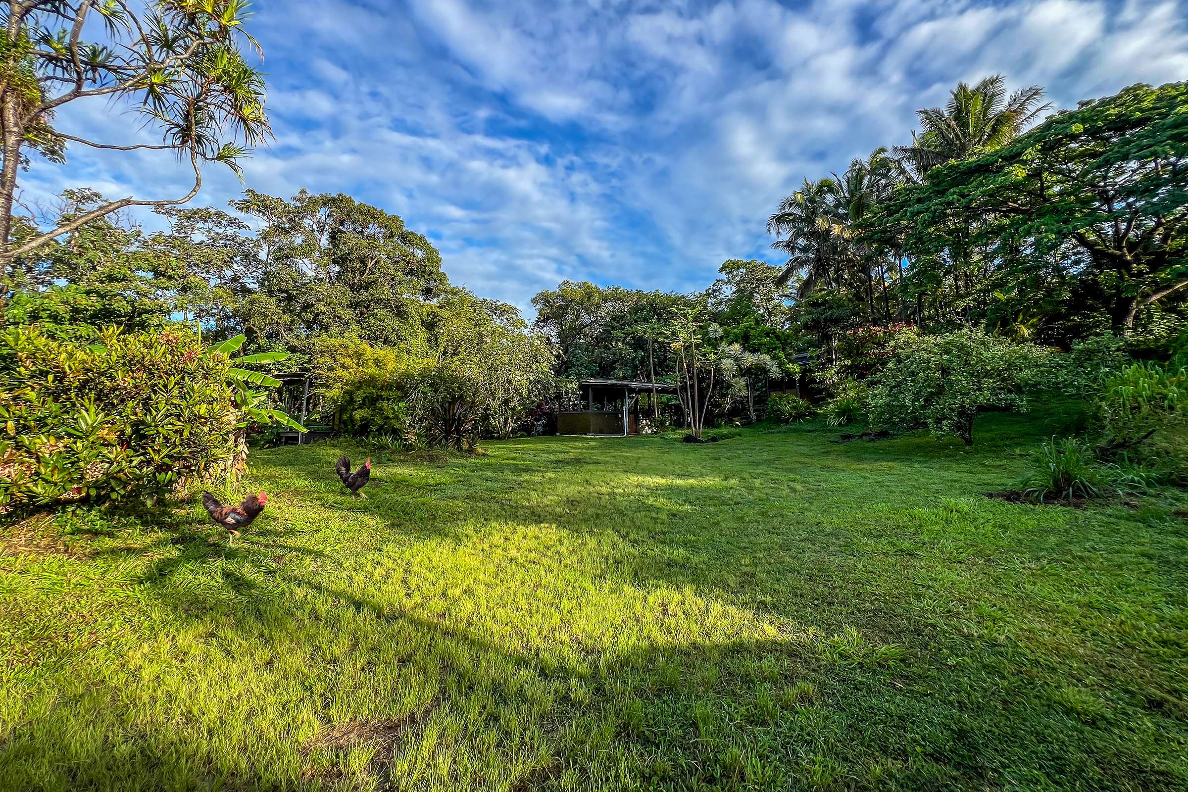 13-103 NALU PL, Pahoa, HI 96778