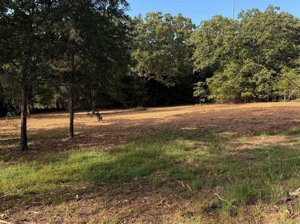 Canton, TX 75103,TBD Fm 859