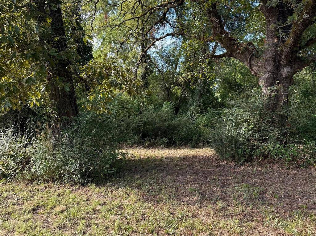 Canton, TX 75103,TBD Fm 859