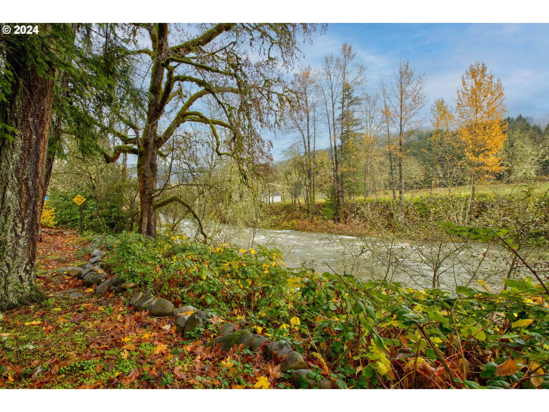 Dorena, OR 97434,75743 BOOTH KELLY CAMP RD