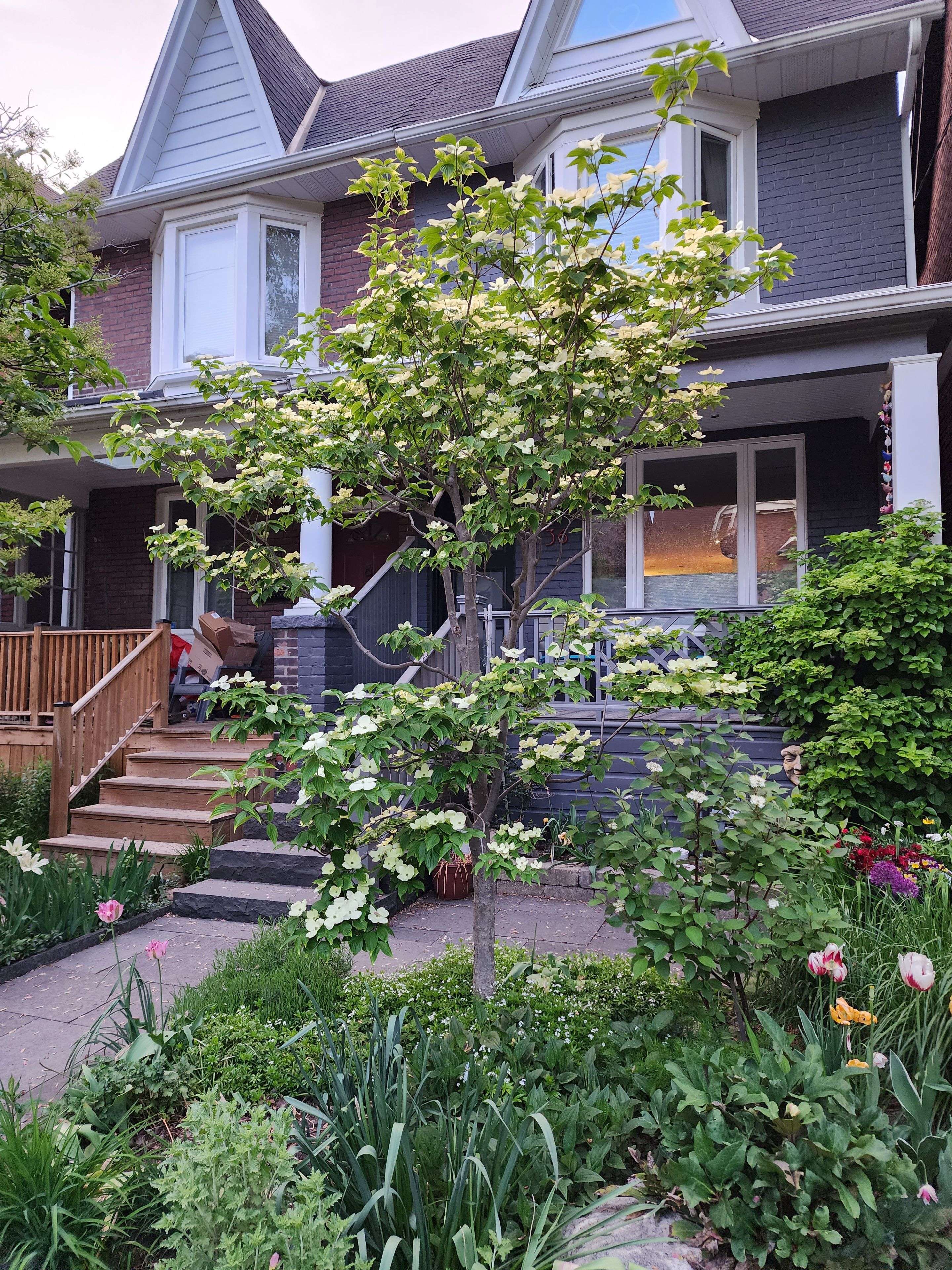 Toronto E01, ON M4J 1K5,36 Hazelwood AVE