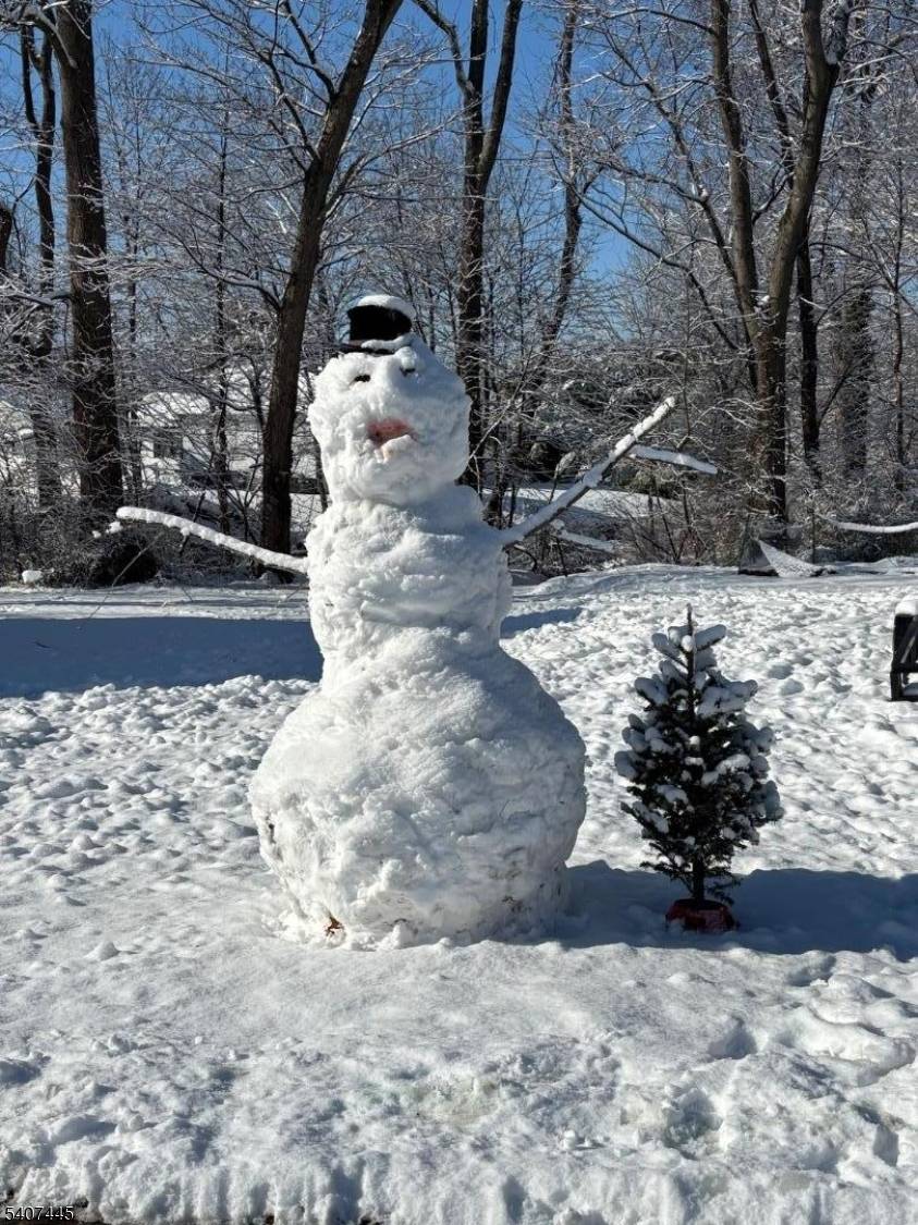 Bridgewater Twp., NJ 08807,309 Jamestown Rd