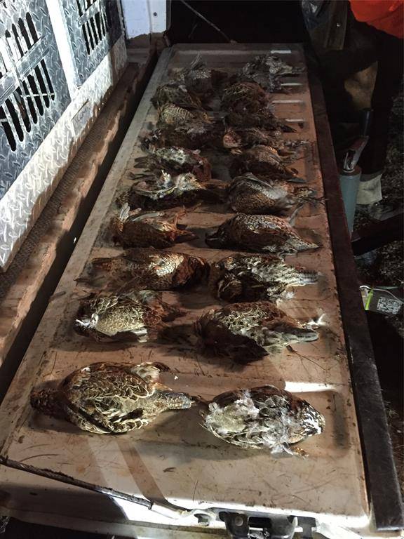 Coleman, TX 76834,970 County Road 256