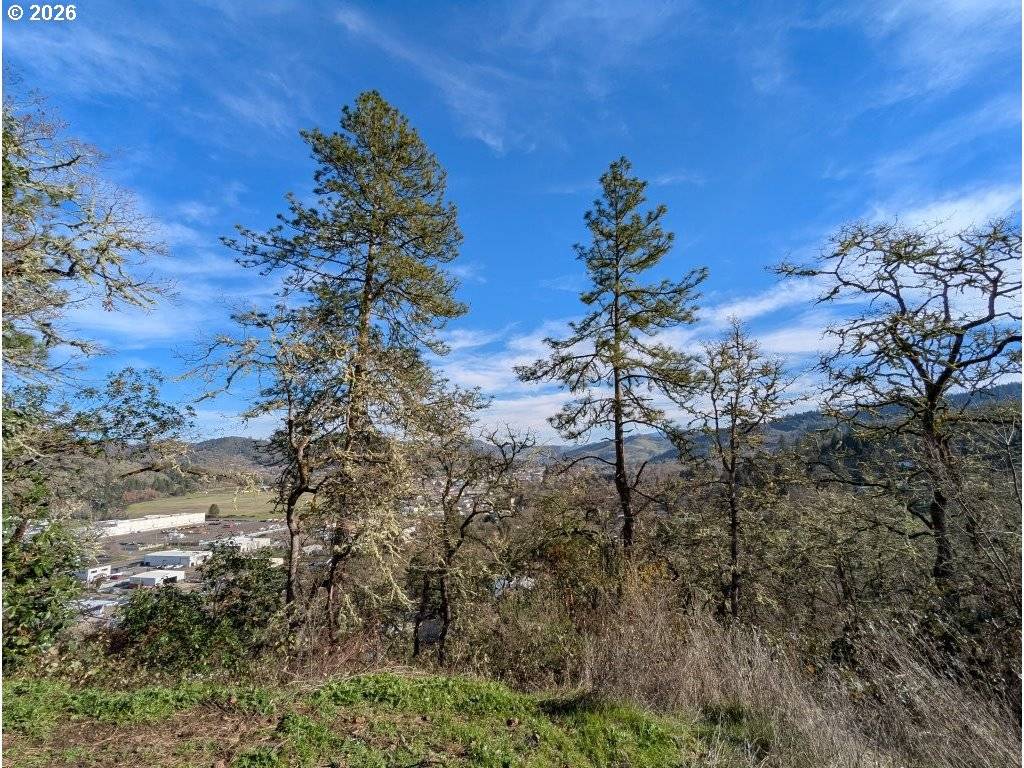 Roseburg, OR 97470,1596 SE DOUGLAS AVE