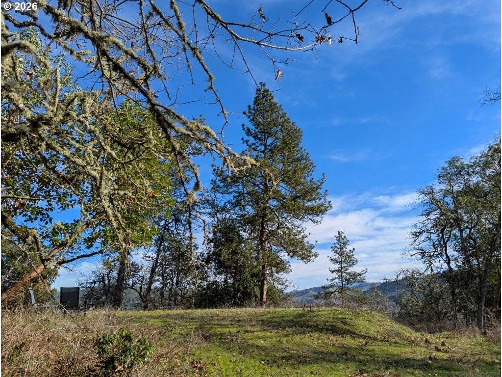 Roseburg, OR 97470,1596 SE DOUGLAS AVE