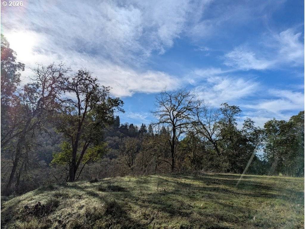 Roseburg, OR 97470,1596 SE DOUGLAS AVE