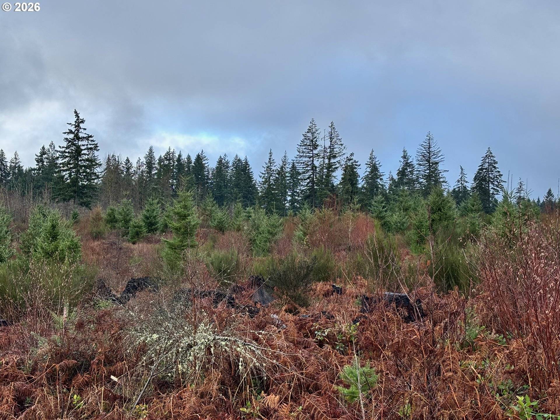 Colton, OR 97017,0 South Shibley Road