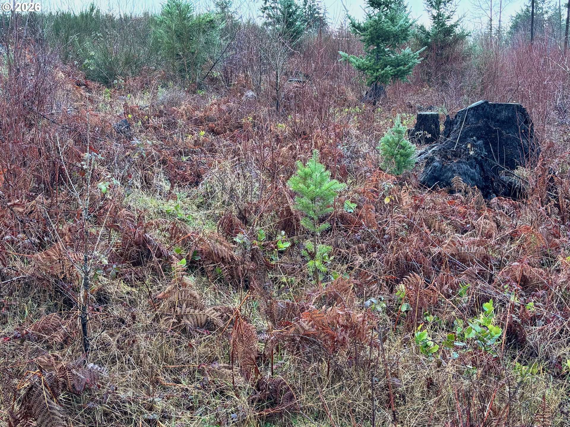 Colton, OR 97017,0 South Shibley Road