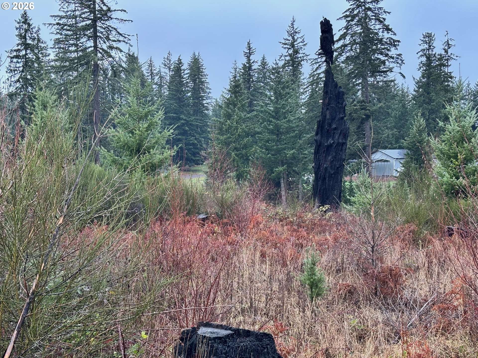 Colton, OR 97017,0 South Shibley Road