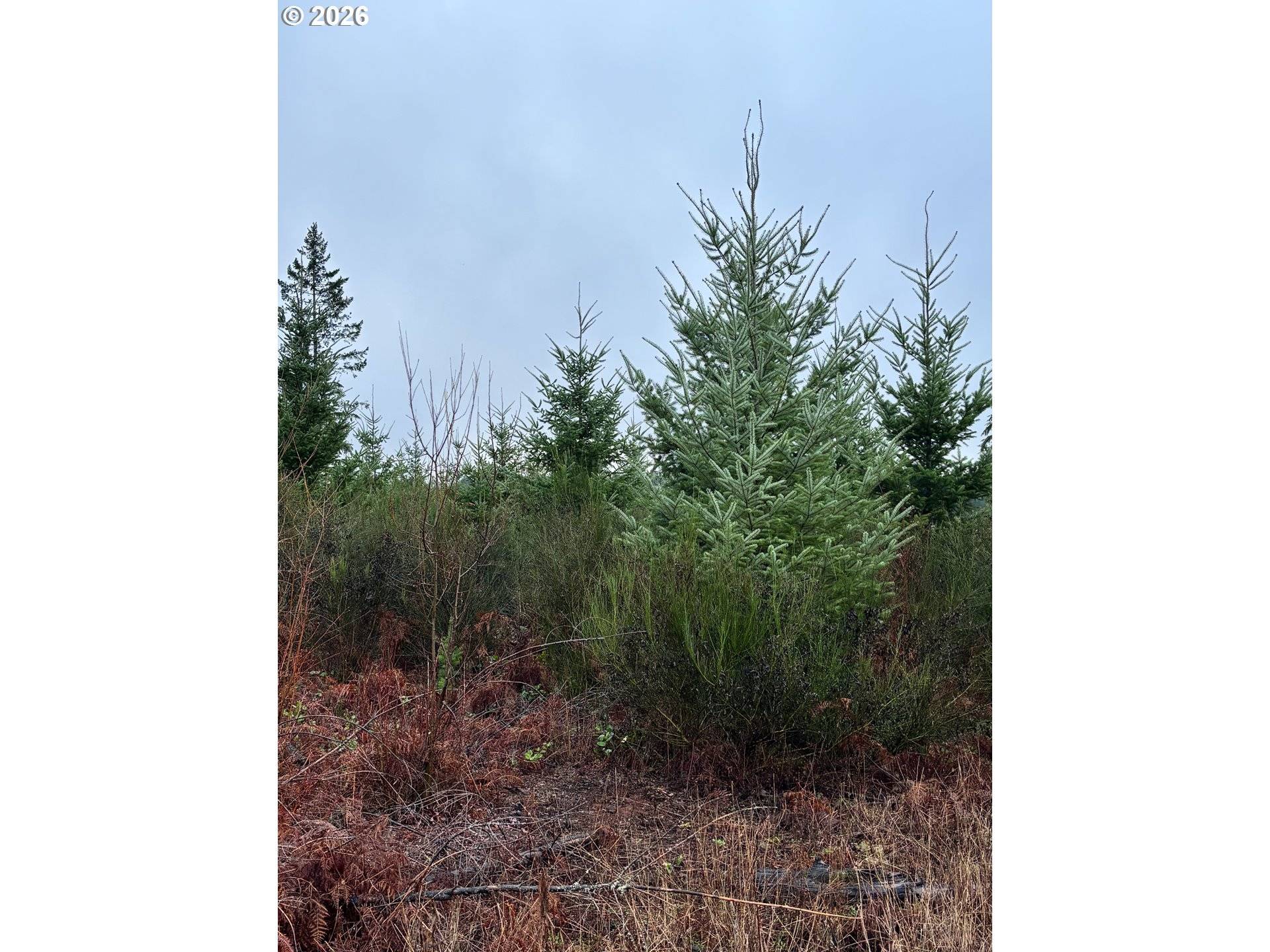 Colton, OR 97017,0 South Shibley Road