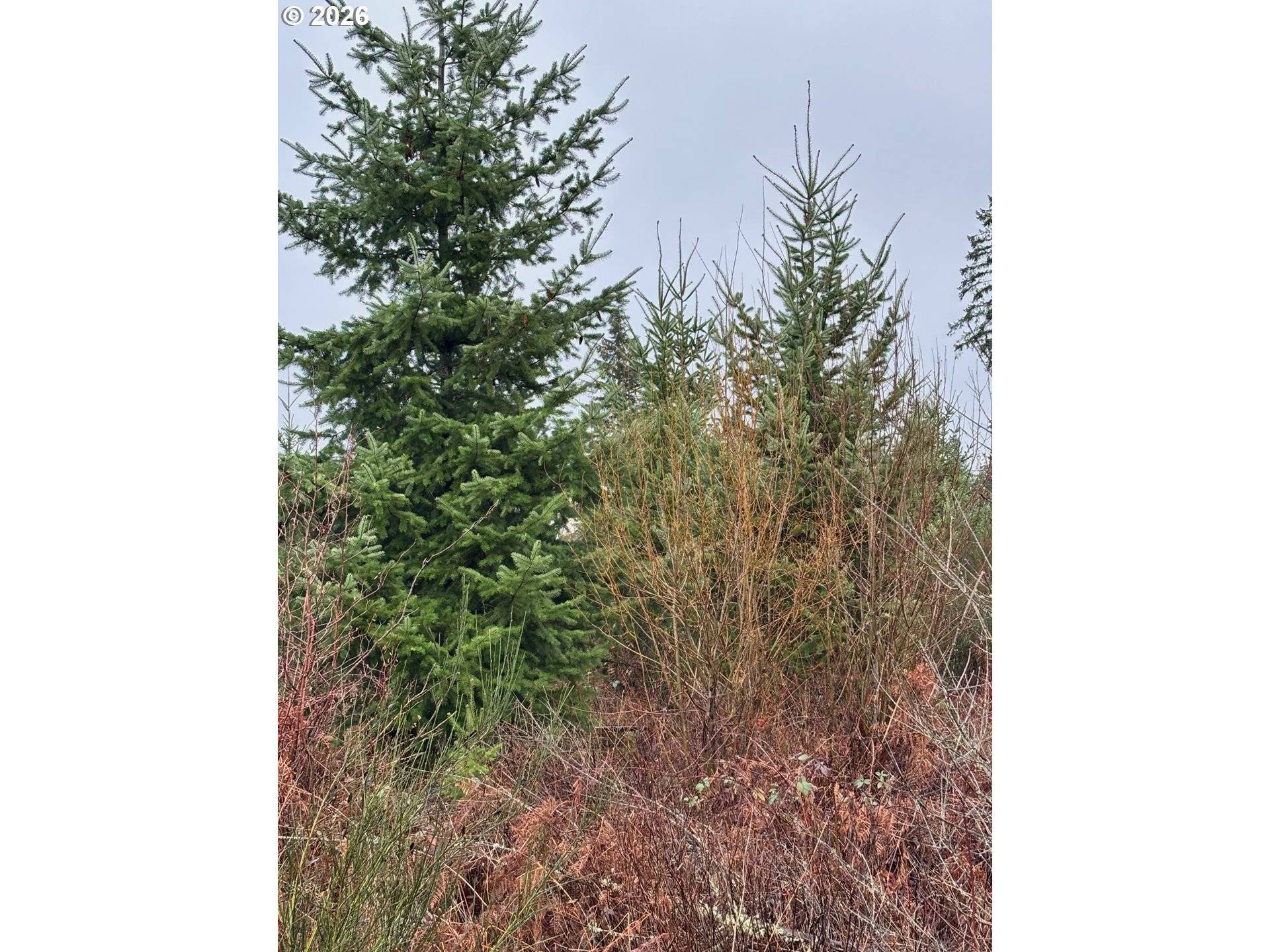 Colton, OR 97017,0 South Shibley Road