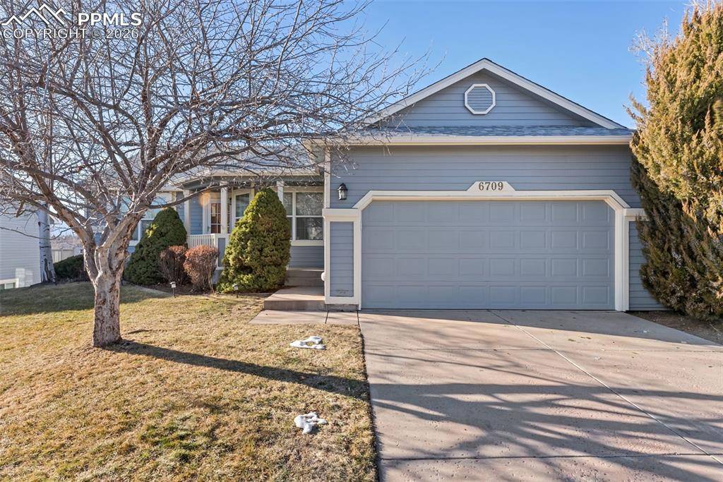 Colorado Springs, CO 80922,6709 Showhorse CT