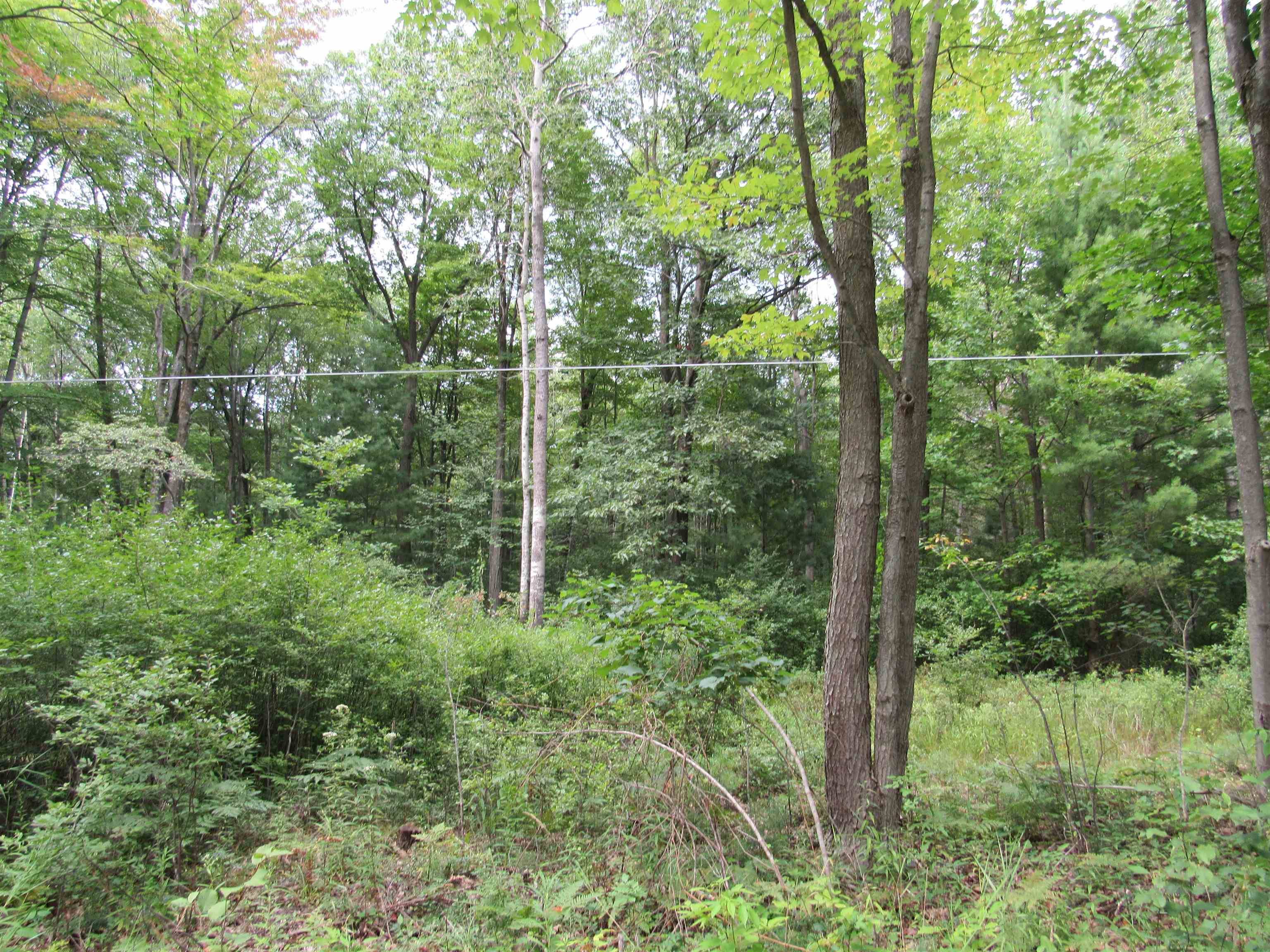 00 Duby RD, Alabaster Twp, MI 48763