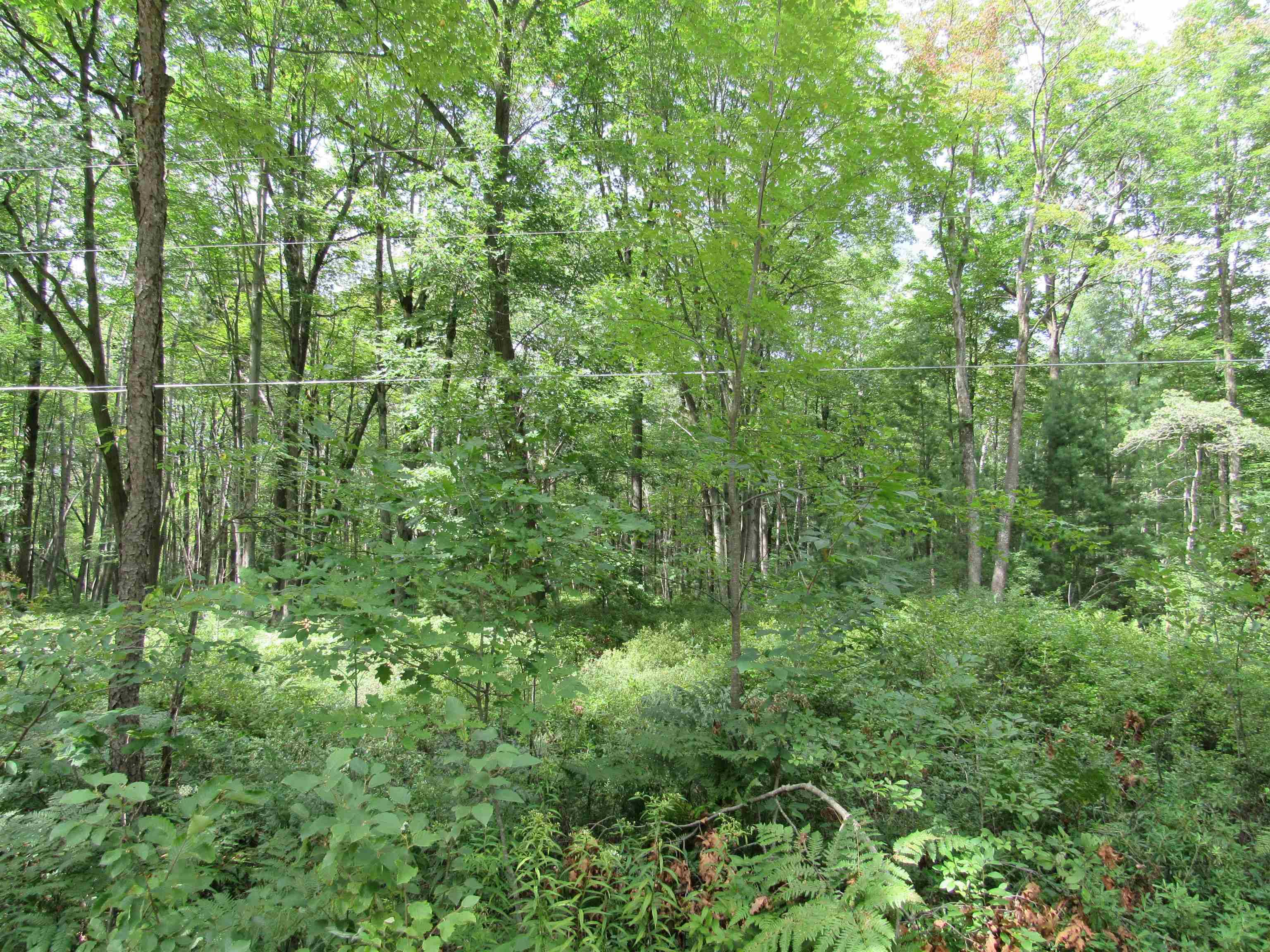 00 Duby RD, Alabaster Twp, MI 48763