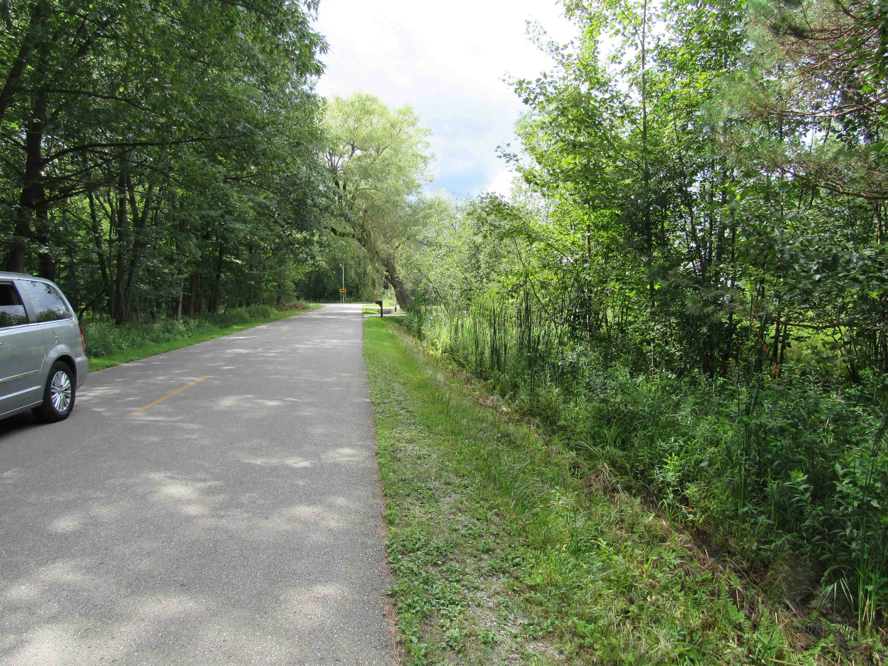 00 Duby RD, Alabaster Twp, MI 48763