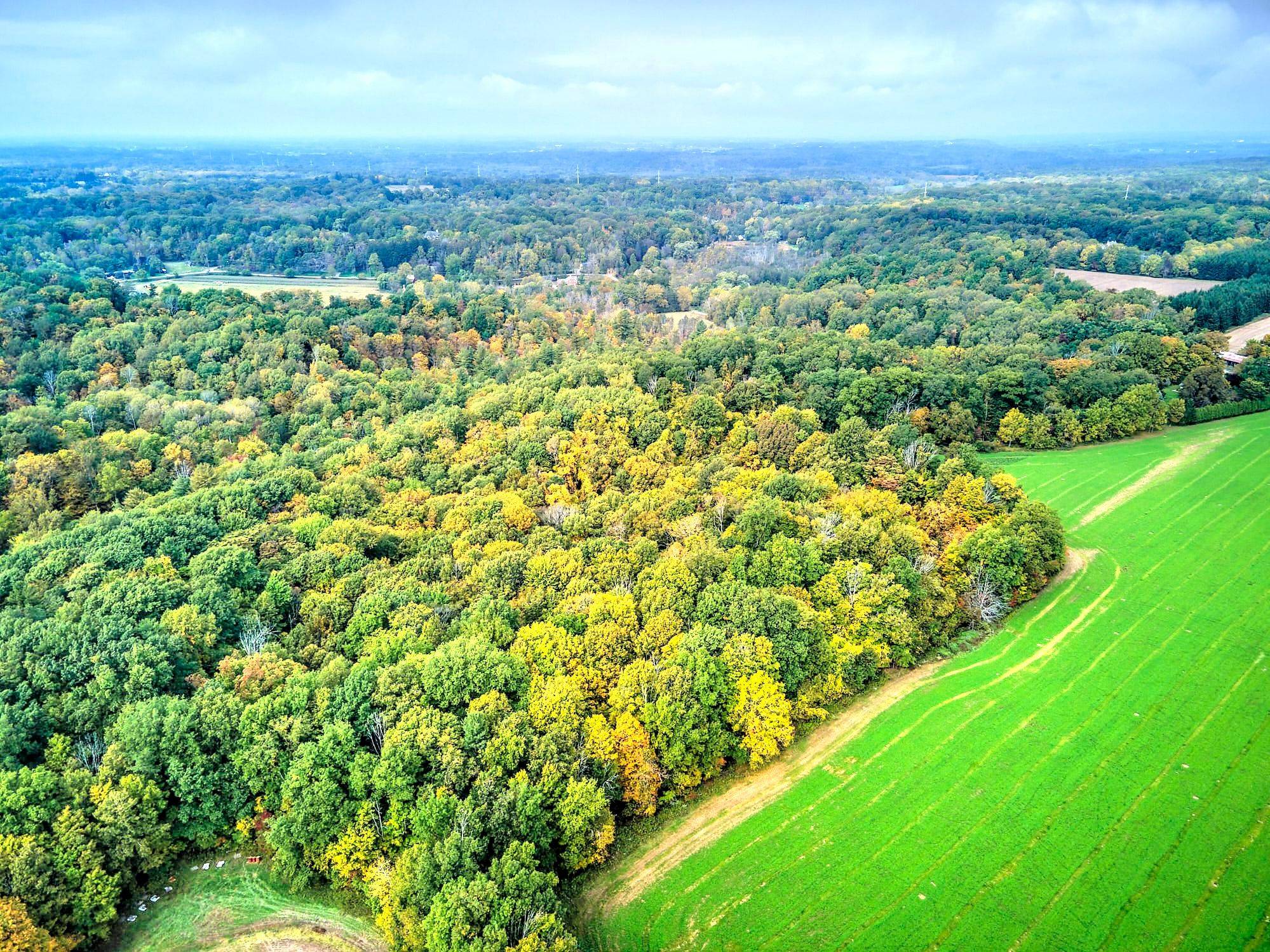 Thorold, ON L0S 1E6,154&155 Lot N/A