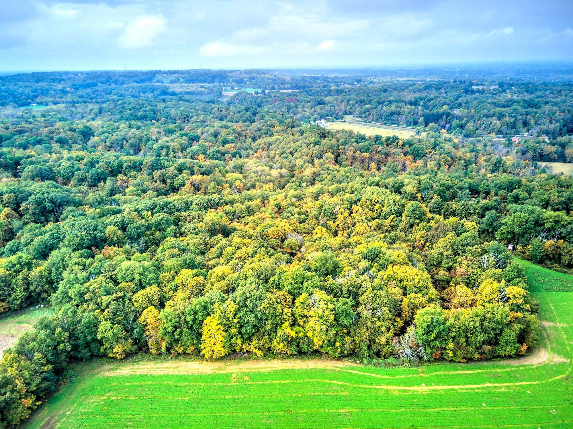 Thorold, ON L0S 1E6,154&155 Lot N/A