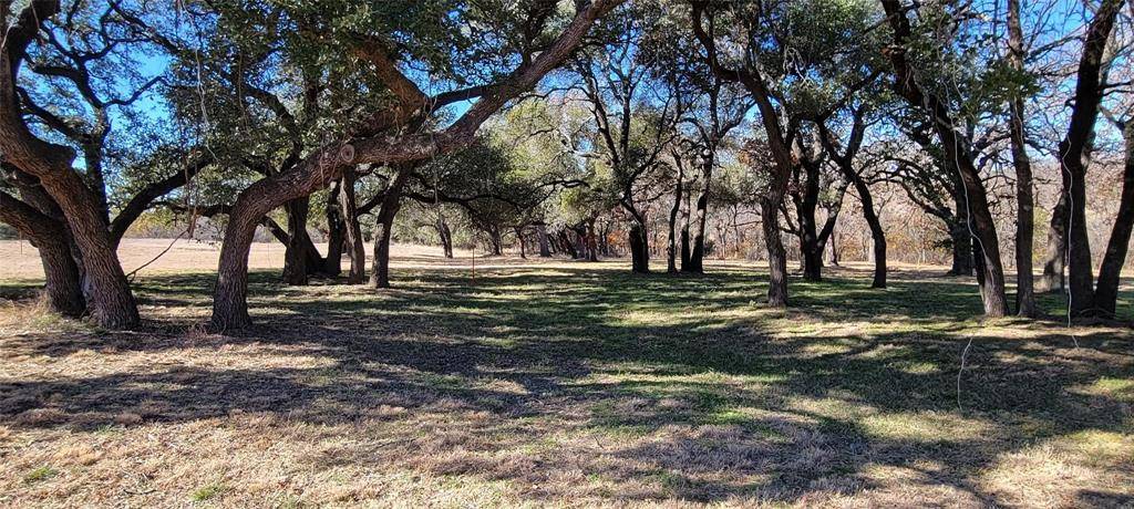 Weatherford, TX 76088,245 Bishop Drive