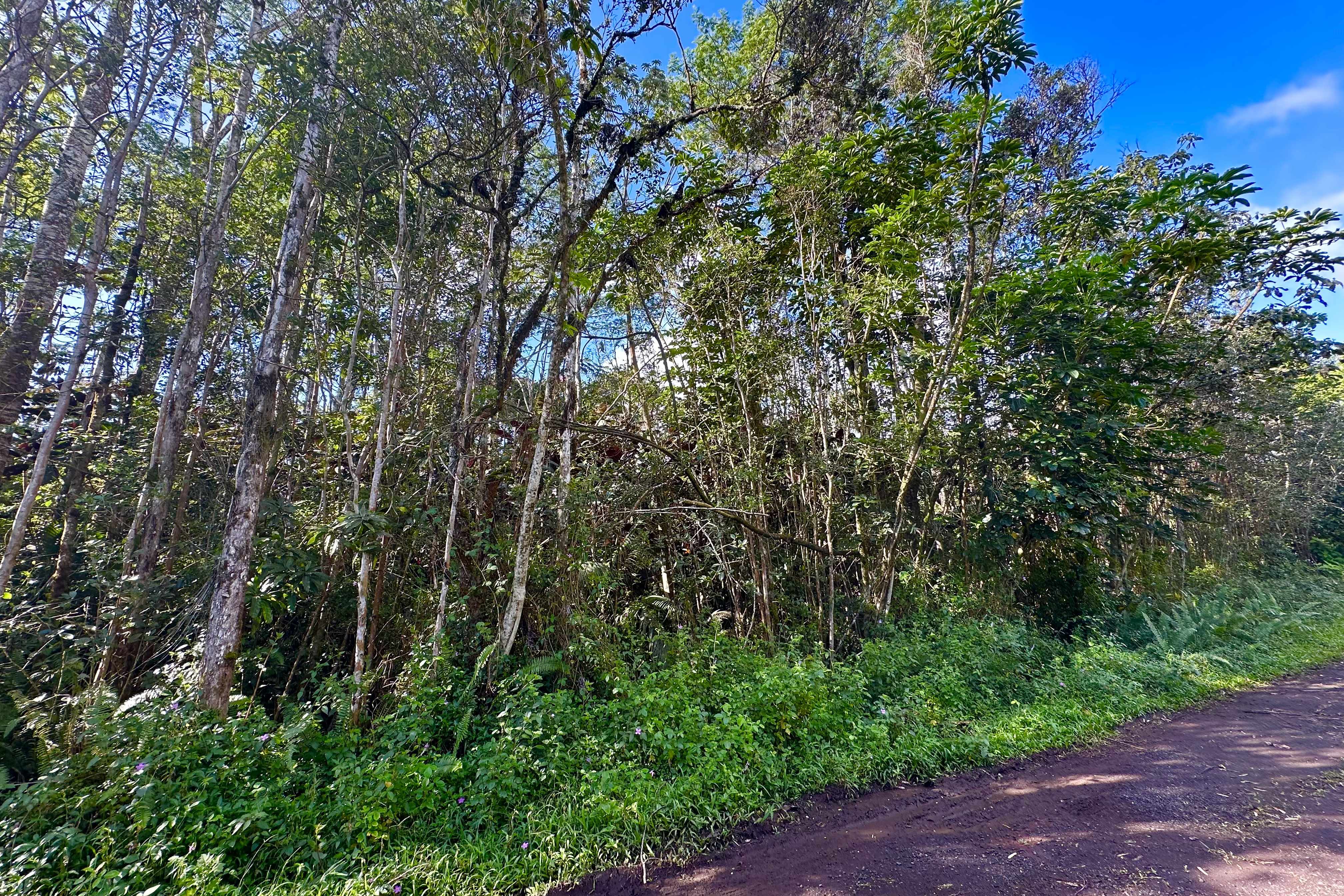 DOLPHIN LN, Pahoa, HI 96778