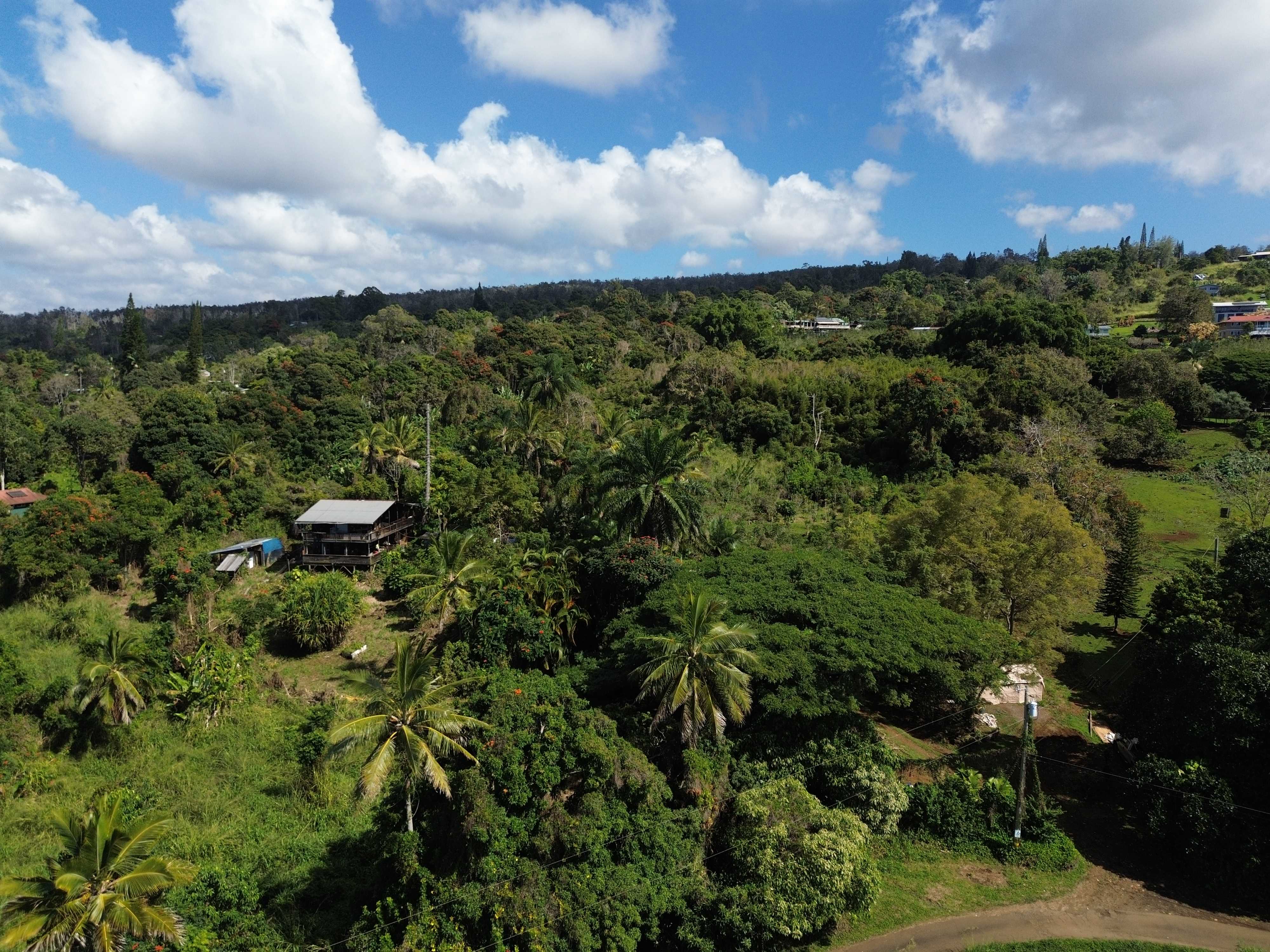 82-1161 KINUE RD, Captain Cook, HI 96704